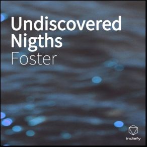 Download track Undiscovered Nights (Undefined) FosterUndefined