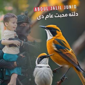 Download track ډک له تاريخو دی Abdul Jalil Junaid