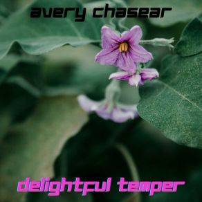 Download track Euphoric Midnight Avery