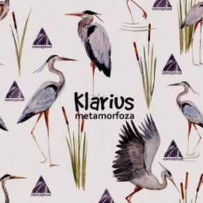 Download track Antet (Original Mix) Klarius