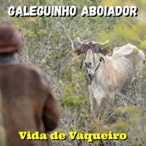 Download track Vida De Vaqueiro Galeguinho Aboiador