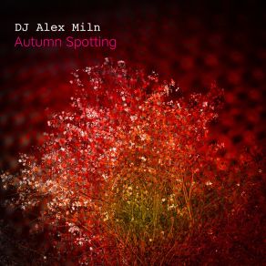 Download track Autumn Spotting DJ Alex Miln