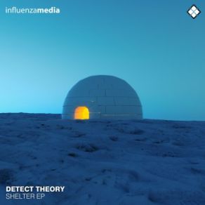 Download track Shelter Detect Theory