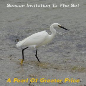 Download track Cultivating Life Bean A Pearl Of Greater Price