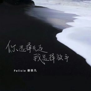 Download track 你选择先走我选择放手 (伴奏) Felicia蔡菲凡