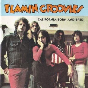 Download track Headin' For The Texas Border The Flamin' Groovies