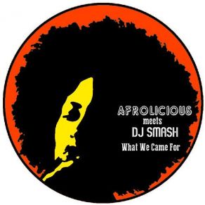 Download track What We Came For (DJ Smash Teknocracy Mix) Afrolicious