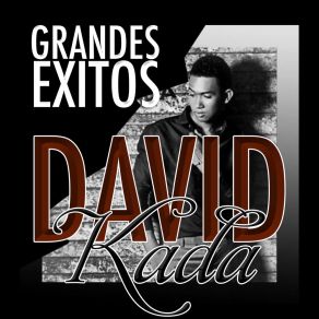 Download track Contigo Me Siento Nitido David Kada