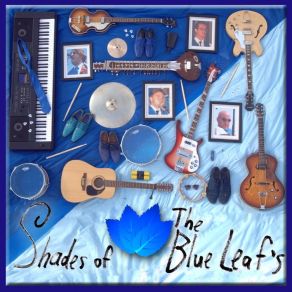 Download track Beautiful Crazy Little Thing The Blue Leaf's