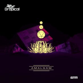 Download track Amalgam Dropical