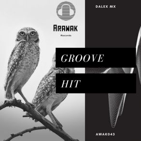 Download track Groove Hit Dalex (MX)