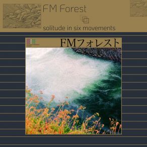 Download track Evening Fm Forest