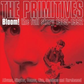 Download track Stop Killing Me (Live At Bath Moles) The Primitives