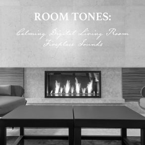 Download track Calming Digital Living Room Fireplace Sounds, Pt. 20 Nowak Sommer