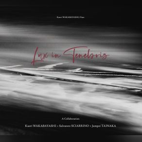 Download track Morte Tamburo (1999) Salvatore Sciarrino, Matteo Cesari