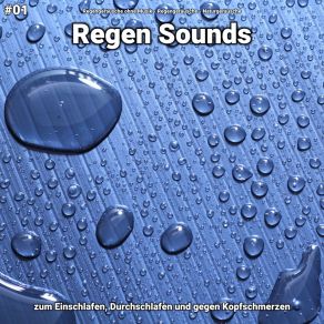 Download track Regen Sounds, Pt. 48 Naturgeräusche