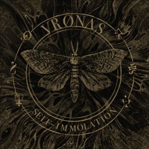 Download track Self-Immolation VRØNΛS