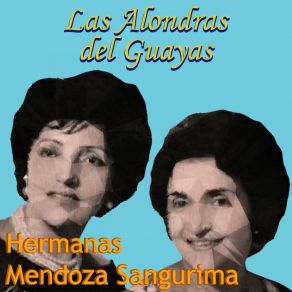 Download track Cuitas De Amor Hermanas Mendoza Sangurima