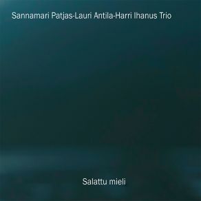 Download track Vaiheet Sannamari Patjas-Lauri Antila-Harri Ihanus Trio