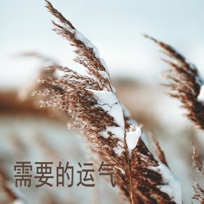 Download track 我知道我不在乎 贲天蓝