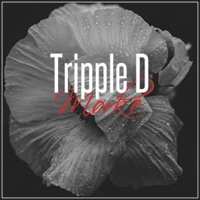 Download track For Ett Liv Tripple D