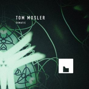 Download track Wait Robot (Original Mix) Tom Mosler