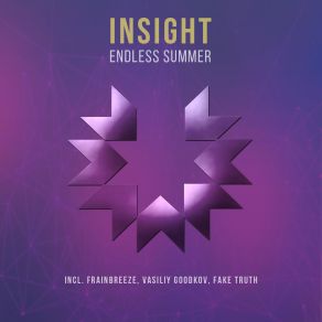 Download track Endless Summer (Original Mix) The Insight