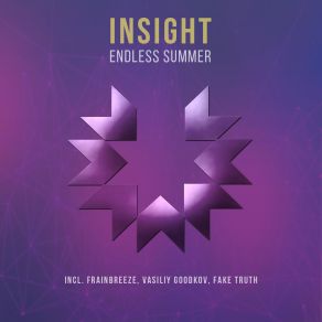 Download track Endless Summer (Fake Truth Remix) The Insight