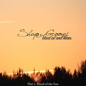 Download track These Are The Days (Sunset Mix) Quivver