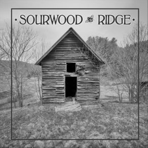 Download track Long Black Veil Sourwood Ridge