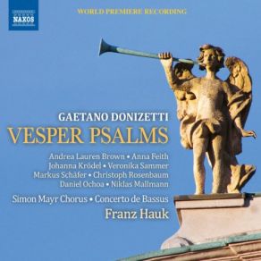 Download track Salve Regina In F Major Franz Hauk, Concerto De Bassus, Simon Mayr ChorusAndrea Lauren Brown