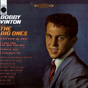 Download track You Were Only Fooling Bobby Vinton