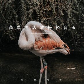 Download track 私人酒店 治愈纯音