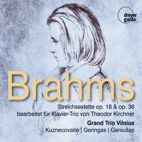 Download track String Sextet No. 1 In B-Flat Major, Op. 18 (Arr. For Piano Trio By Theodor Kirchner): II. Andante Ma Moderato Grand Trio Vilnius