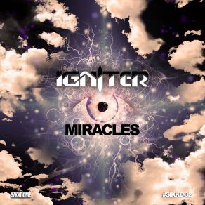 Download track Miracles (Radio Edit) Igniter