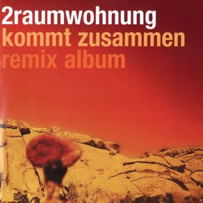 Download track Du Und Ich (I: O: L Remix) 2Raumwohnung