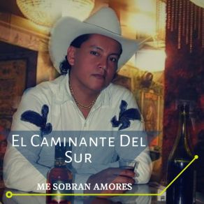 Download track Me Sobran Amores El Caminante Del Sur