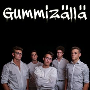 Download track Gummizällä Drive! N