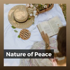 Download track Meditation With Nature, Pt. 25 Nature Sounds Nature Music