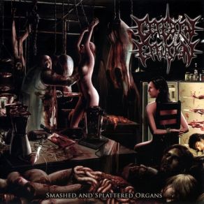 Download track Smashed And Splattered Organs Cerebral Effusion