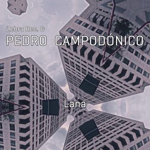 Download track Stella Pedro Campodonico