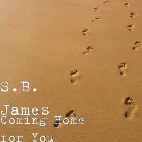 Download track Follow That Dream S. B. James