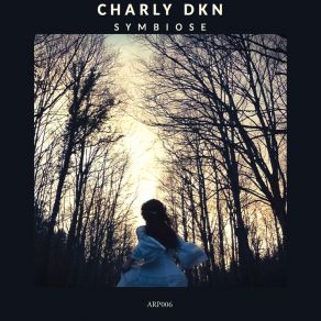 Download track B14 Charly DKN