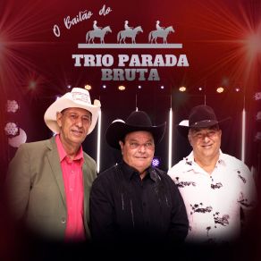 Download track Dona Do Meu Jardim Trio Parada Bruta