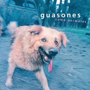 Download track Sueños Son Guasones