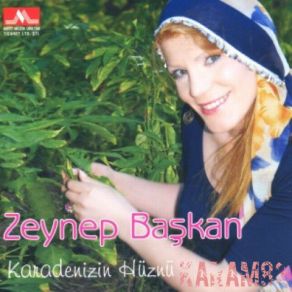 Download track Vay Beni Ağlarmıydum Zeynep Başkan