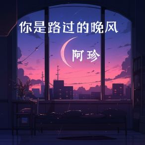 Download track 你是路过的晚风 阿珍