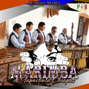 Download track Anacleto Marimba De Tapachula Chiapas