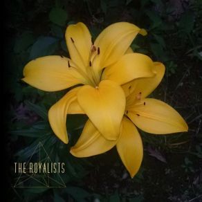 Download track Impulse Response The Royalists