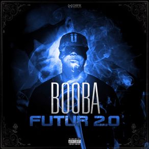 Download track Une Vie Booba